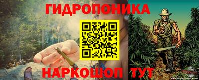 индика Краснодар
