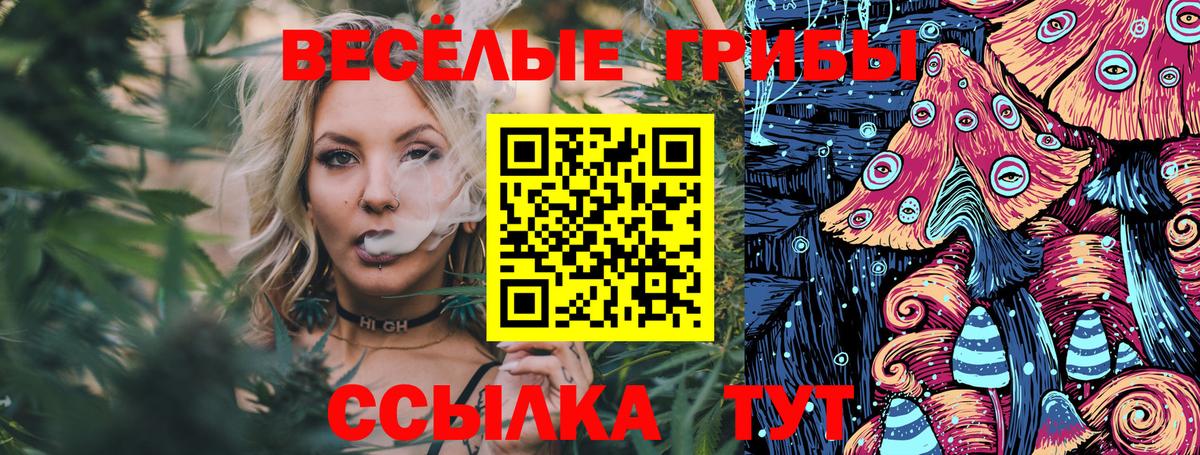 Псилоцибиновые грибы мухоморы Кохма