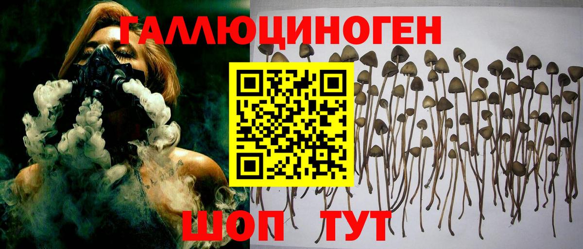 продажа наркотиков  Галлюциногенные грибы мицелий  Вход с VPN  Кохма 