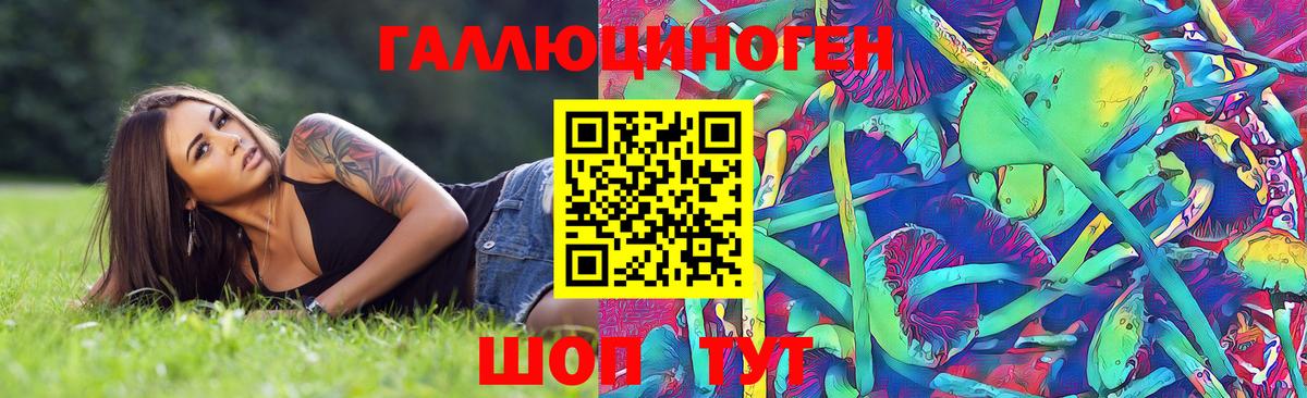 ГАШ Кохма